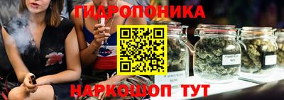 МДПВ Будённовск