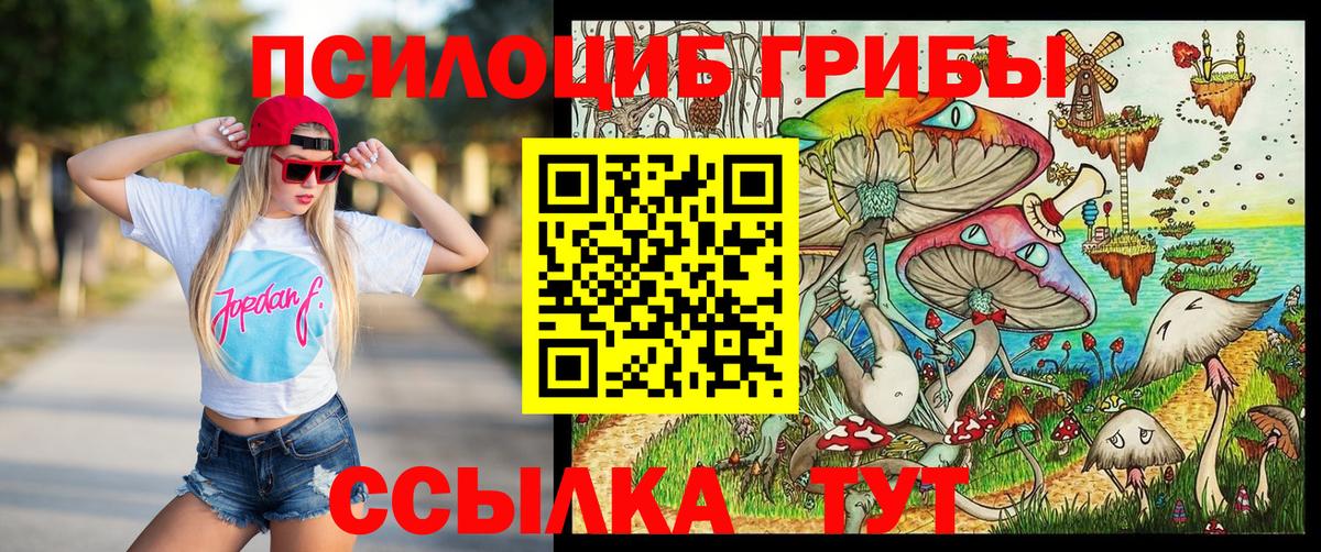 Тайшет  Галлюциногенные грибы мицелий  Вход с VPN  Псилоцибиновые грибы Psilocybine cubensis 